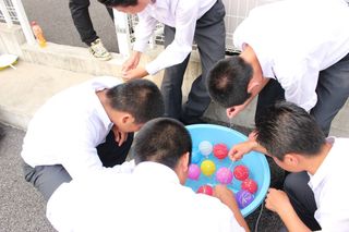 IMG_2923.JPG