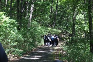 IMG_3587.JPG