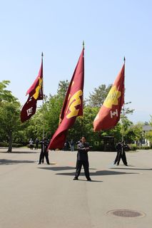 IMG_7407.JPG