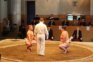 IMG_8483.JPG